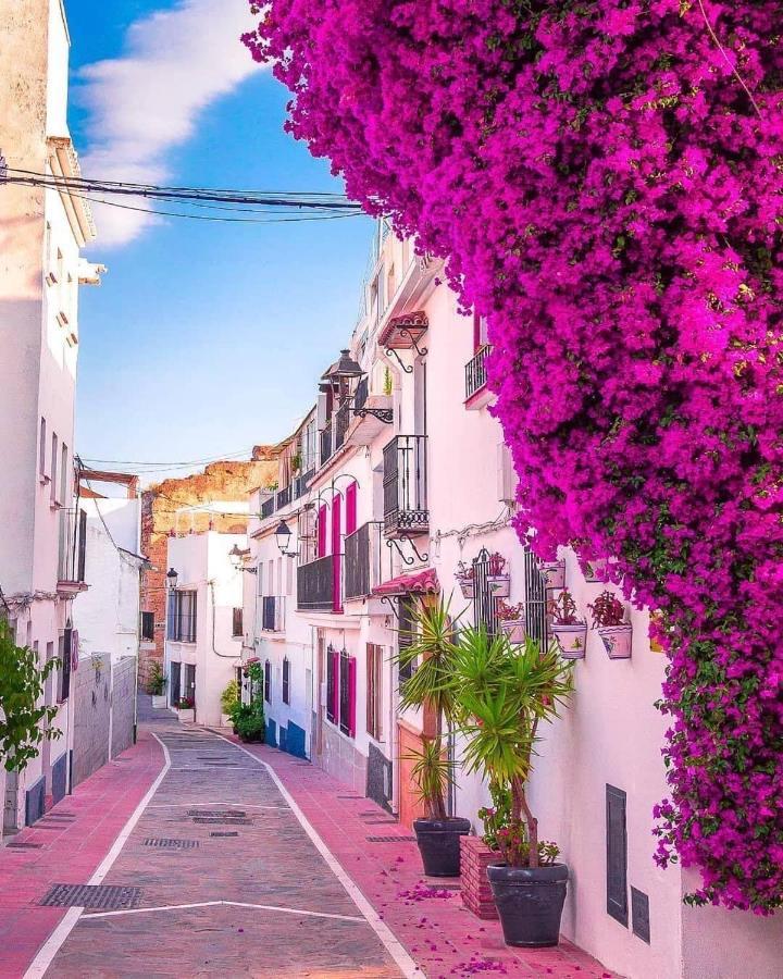 Suite Vitbanus Marbella Zewnętrze zdjęcie